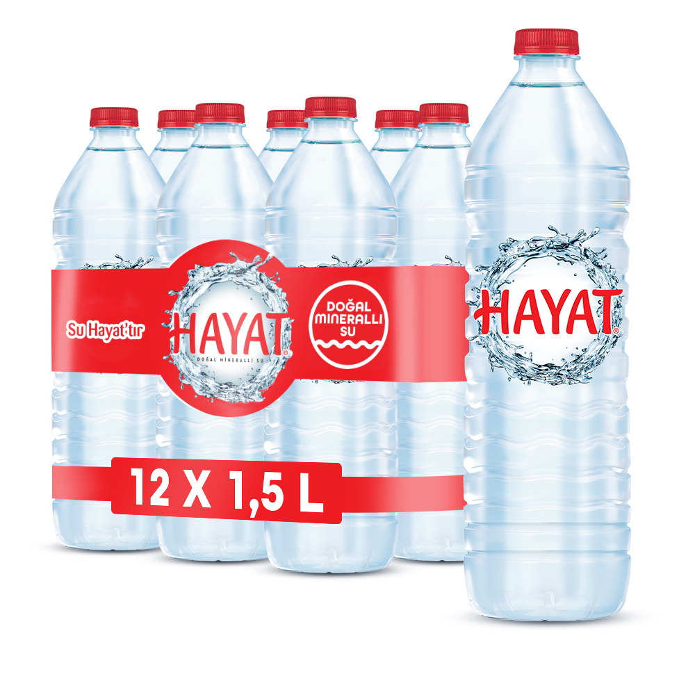 HAYAT 1.5 LT  PET 12 Lİ