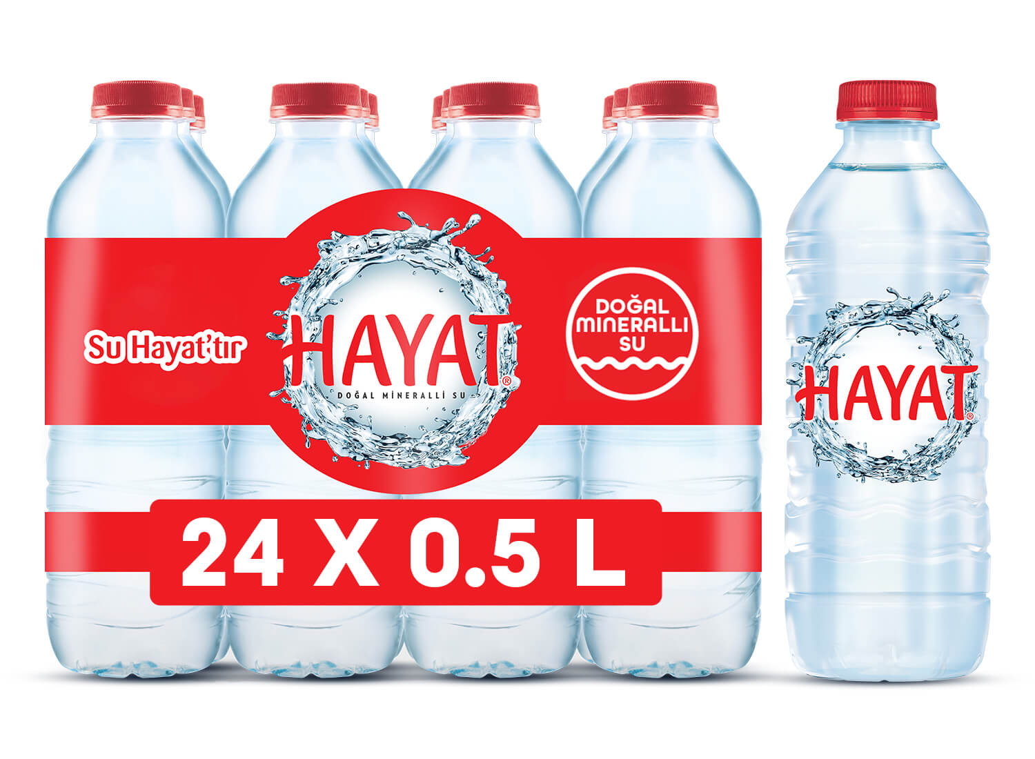 HAYAT 0.5 LT PET 24 LÜ
