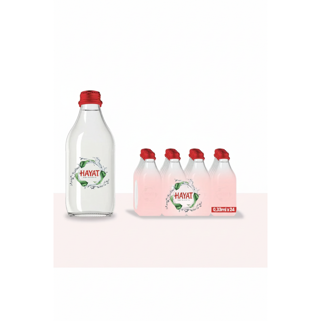 HAYAT DOĞA DOSTU 0.33 LT CAM 12 Lİ