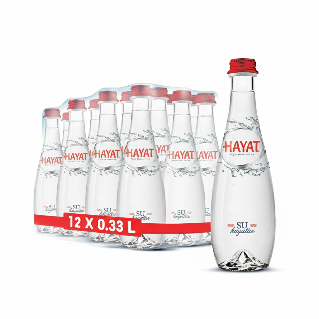 HAYAT EXCLUSİVE 0.33 LT CAM 12 Lİ