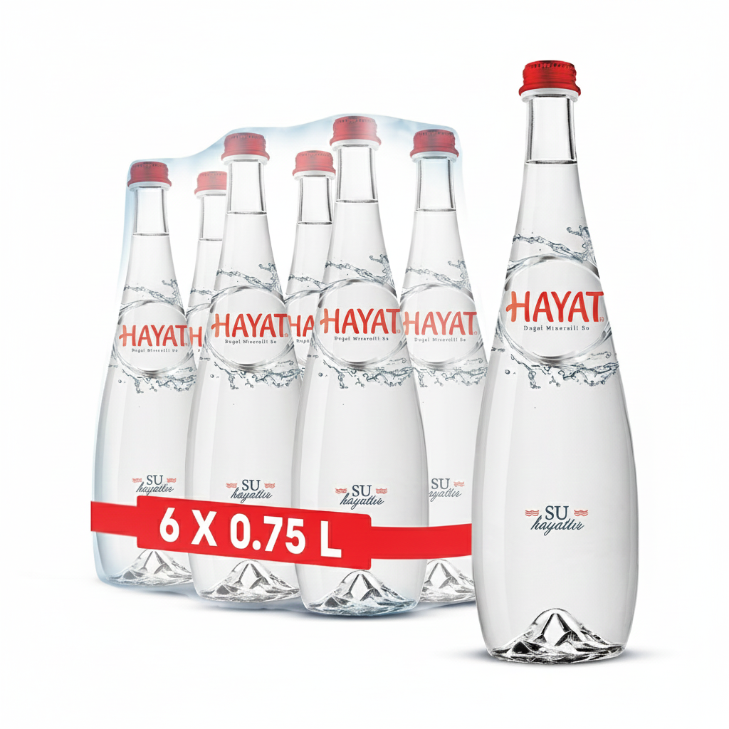 HAYAT EXCLUSİVE 0.75 LT CAM 6 LI