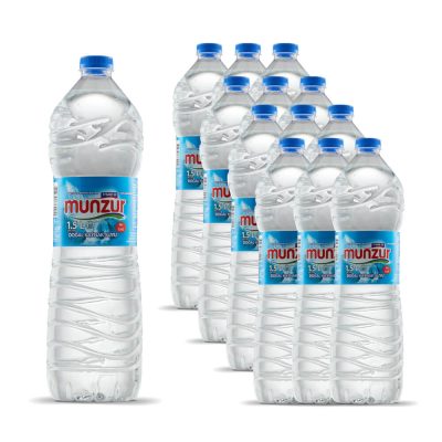 MUNZUR 1.5 LT PET 12 Lİ