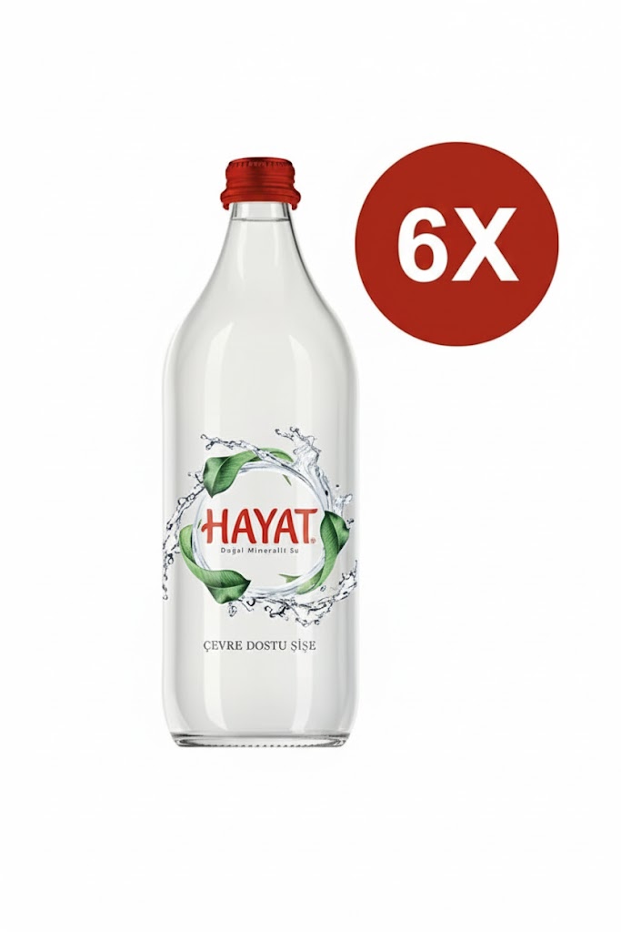 HAYAT DOĞA DOSTU 0.75 LT CAM 6 LI